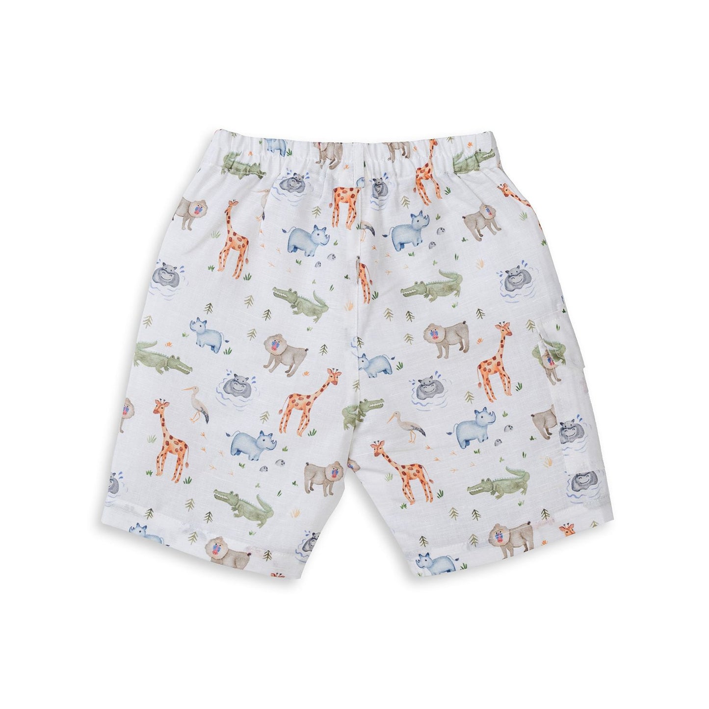 Shorts Safari