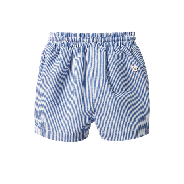 James Shorts Linen Blue Stripe