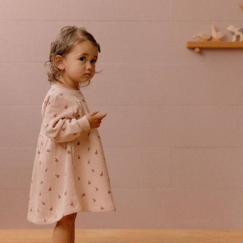 Ines Dress Petite Pear Roes Dust Print