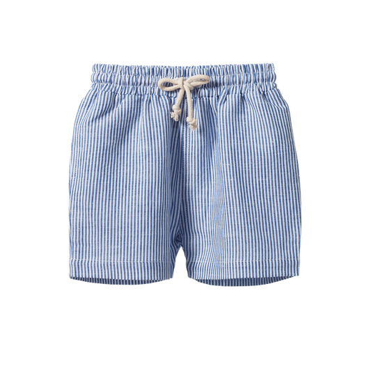 James Shorts Linen Blue Stripe