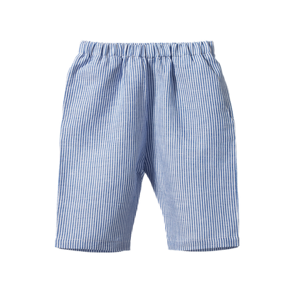 Dae Pants Linen Blue Stripe