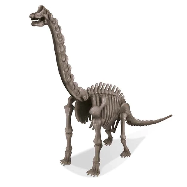 4M Dig A Dinosaur Brachiosaurus